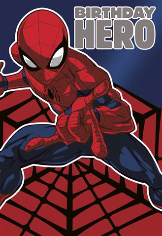 Spiderman Birthday Hero - Hallmark