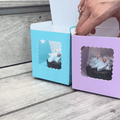 Scalloped Single Cupcake Box (Pack Of 6) - Mixed - PAPYRUS