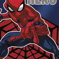 Spiderman Birthday Hero - Hallmark